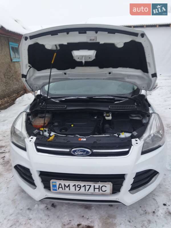 Внедорожник / Кроссовер Ford Kuga 2013 в Звягеле фото 20 Внедорожник / Кроссовер Ford Kuga 2013 в Звягеле