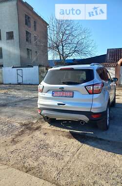Внедорожник / Кроссовер Ford Kuga 2019 в Ромнах