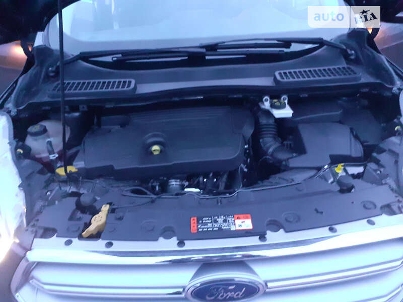 Внедорожник / Кроссовер Ford Kuga 2018 в Трускавце фото 30 Внедорожник / Кроссовер Ford Kuga 2018 в Трускавце