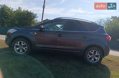 Внедорожник / Кроссовер Ford Kuga 2010 в 