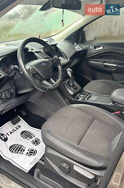 Внедорожник / Кроссовер Ford Kuga 2019 в 