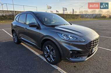 Внедорожник / Кроссовер Ford Kuga 2023 в 