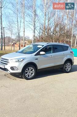 Внедорожник / Кроссовер Ford Kuga 2019 в 