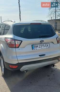 Внедорожник / Кроссовер Ford Kuga 2019 в 