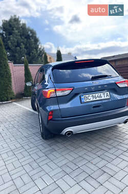 Внедорожник / Кроссовер Ford Kuga 2020 в 