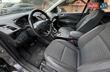 Внедорожник / Кроссовер Ford Kuga 2019 в 