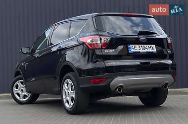 Внедорожник / Кроссовер Ford Kuga 2019 в 