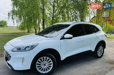 Внедорожник / Кроссовер Ford Kuga 2022 в Ромнах