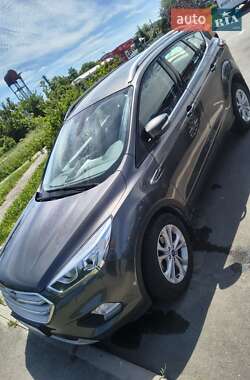 Внедорожник / Кроссовер Ford Kuga 2019 в Боярке