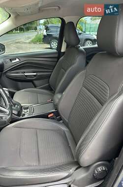 Внедорожник / Кроссовер Ford Kuga 2019 в 