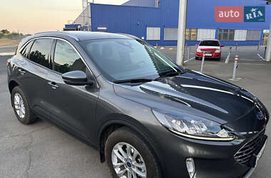 Внедорожник / Кроссовер Ford Kuga 2023 в 