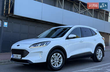Внедорожник / Кроссовер Ford Kuga 2023 в 