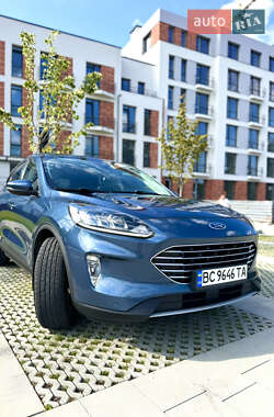 Внедорожник / Кроссовер Ford Kuga 2020 в Самборе