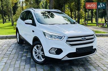 Внедорожник / Кроссовер Ford Kuga 2019 в 