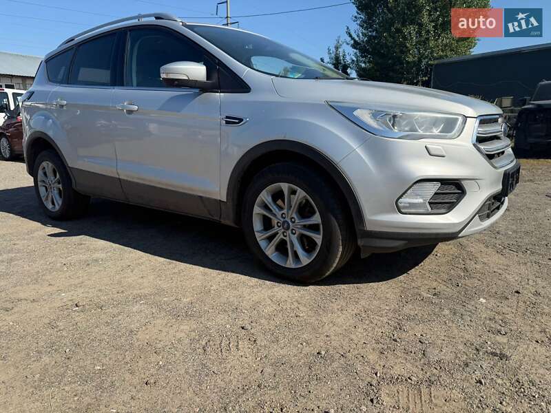 Внедорожник / Кроссовер Ford Kuga 2019 в 