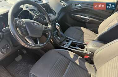 Внедорожник / Кроссовер Ford Kuga 2019 в 