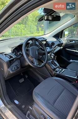Внедорожник / Кроссовер Ford Kuga 2019 в 
