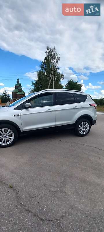 Внедорожник / Кроссовер Ford Kuga 2019 в Ромнах фото 52 Внедорожник / Кроссовер Ford Kuga 2019 в Ромнах