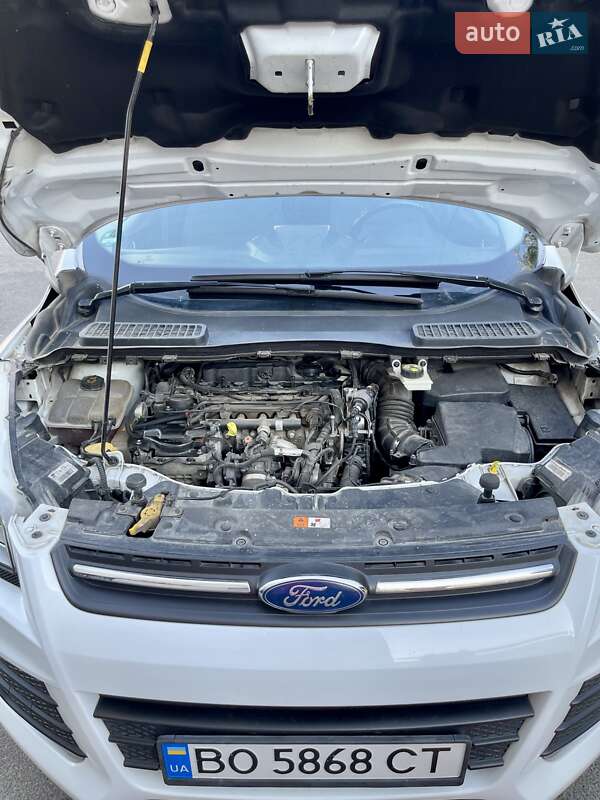 Внедорожник / Кроссовер Ford Kuga 2016 в Тернополе