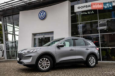 Внедорожник / Кроссовер Ford Kuga 2020 в 