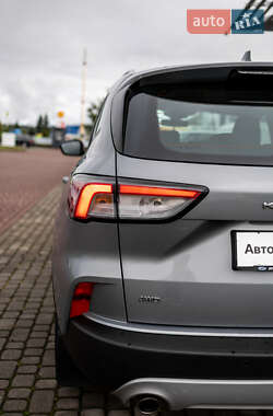 Внедорожник / Кроссовер Ford Kuga 2020 в 