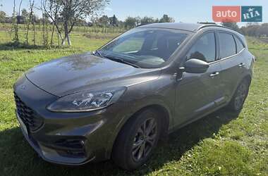 Позашляховик / Кросовер Ford Kuga 2023 в Львові