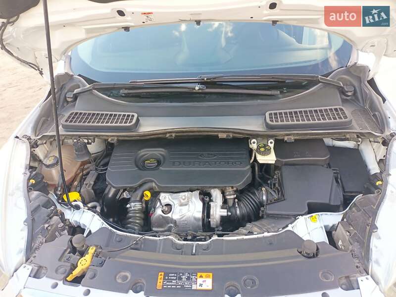 Внедорожник / Кроссовер Ford Kuga 2018 в Днепре фото 17 Внедорожник / Кроссовер Ford Kuga 2018 в Днепре