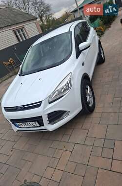 Внедорожник / Кроссовер Ford Kuga 2014 в Звягеле