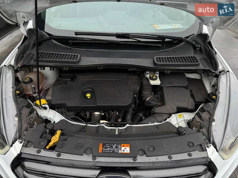 Внедорожник / Кроссовер Ford Kuga 2019 в Ровно