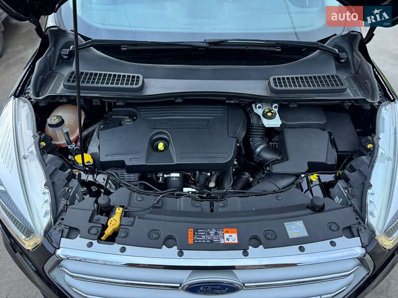 Позашляховик / Кросовер Ford Kuga 2019 в Бердичеві