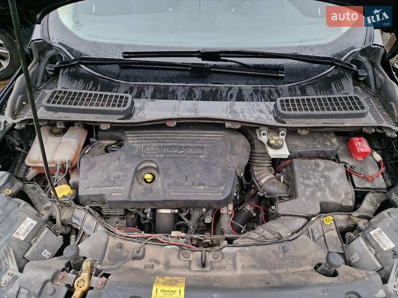 Позашляховик / Кросовер Ford Kuga 2016 в Києві фото 19 Позашляховик / Кросовер Ford Kuga 2016 в Києві