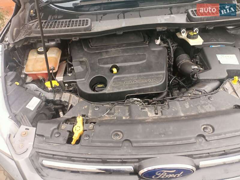 Внедорожник / Кроссовер Ford Kuga 2014 в Черкассах