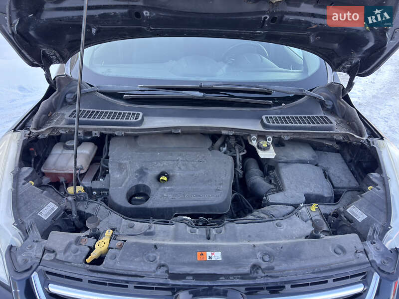 Внедорожник / Кроссовер Ford Kuga 2013 в Луцке