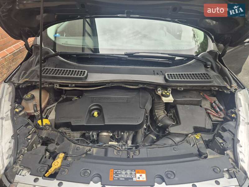 Внедорожник / Кроссовер Ford Kuga 2019 в Львове