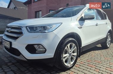 Внедорожник / Кроссовер Ford Kuga 2019 в Житомире