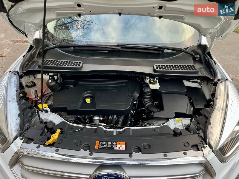 Внедорожник / Кроссовер Ford Kuga 2016 в Киеве фото 25 Внедорожник / Кроссовер Ford Kuga 2016 в Киеве