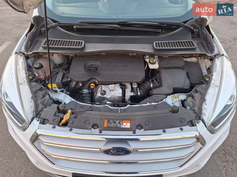 Позашляховик / Кросовер Ford Kuga 2019 в Києві