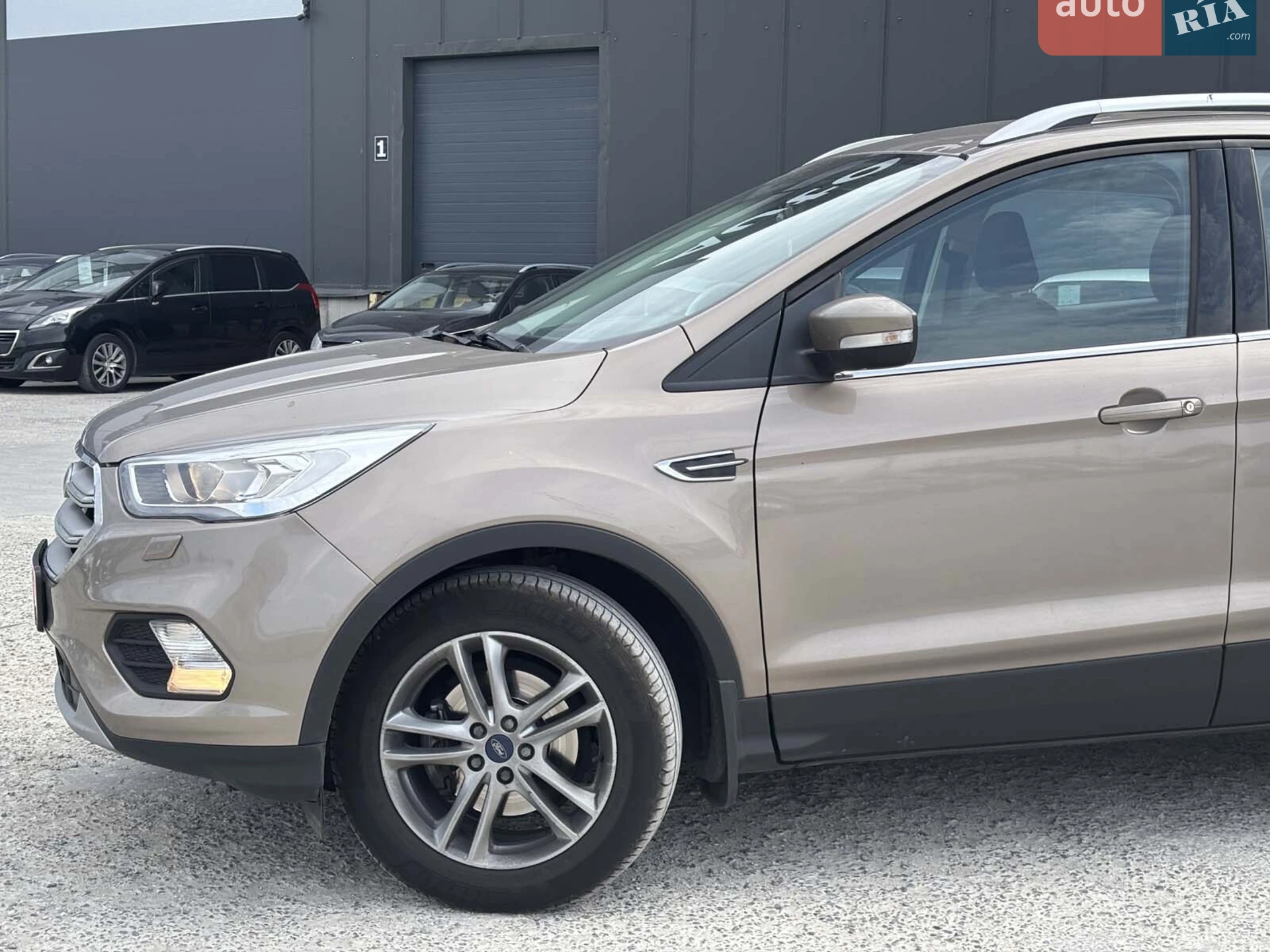 2019 Ford Kuga - мініатюра 5