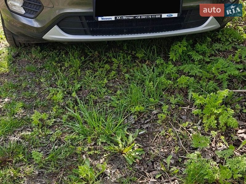 Внедорожник / Кроссовер Ford Kuga 2019 в Миргороде