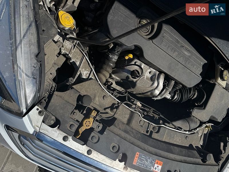 Внедорожник / Кроссовер Ford Kuga 2019 в Киеве