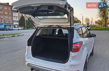 Внедорожник / Кроссовер Ford Kuga 2019 в Полтаве