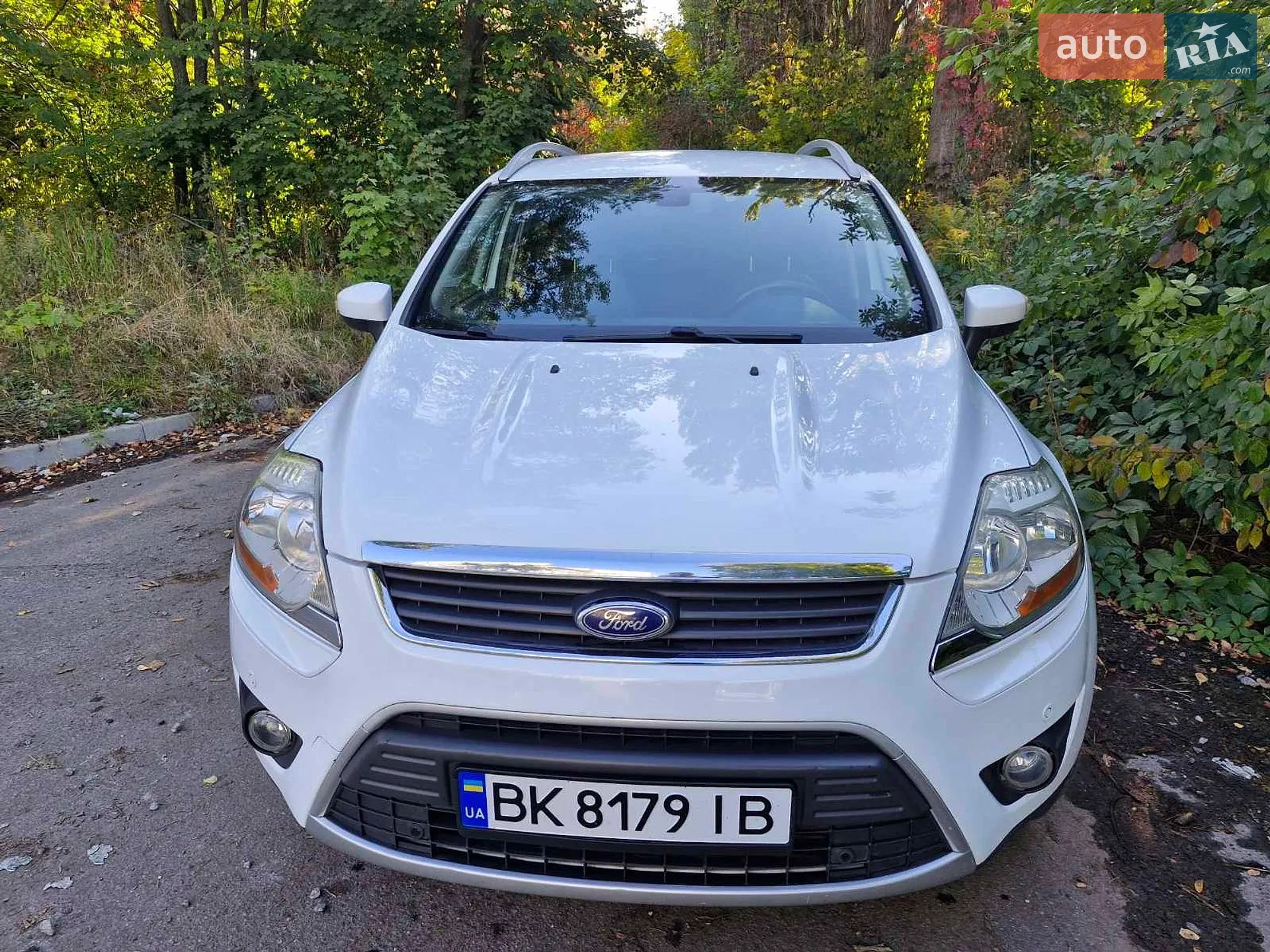 2010 Ford Kuga - мініатюра 2