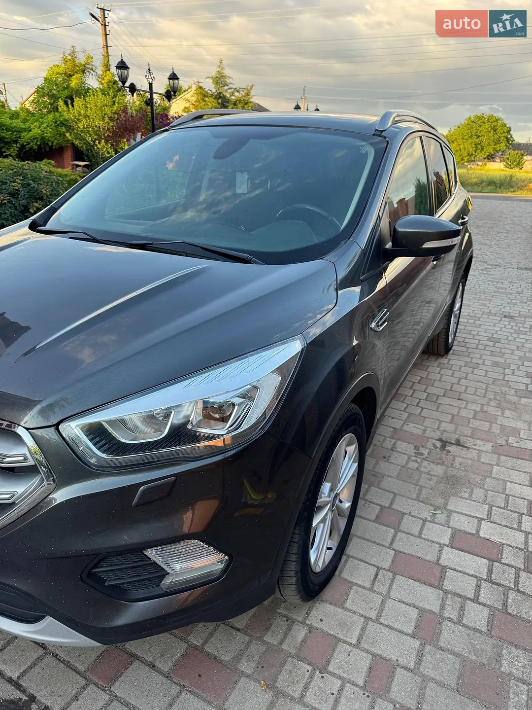 2019 Ford Kuga - мініатюра 3