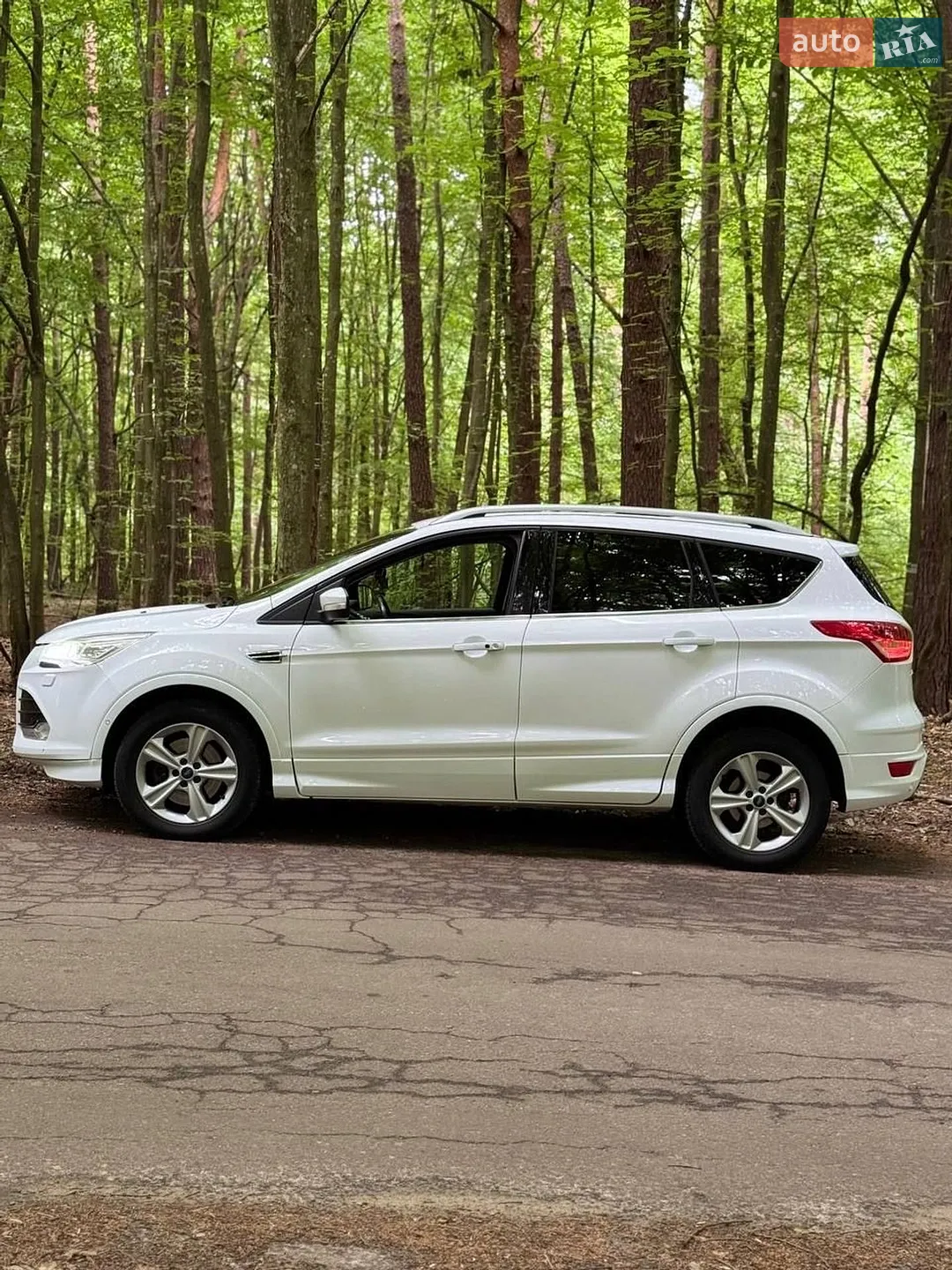 2015 Ford Kuga - мініатюра 4