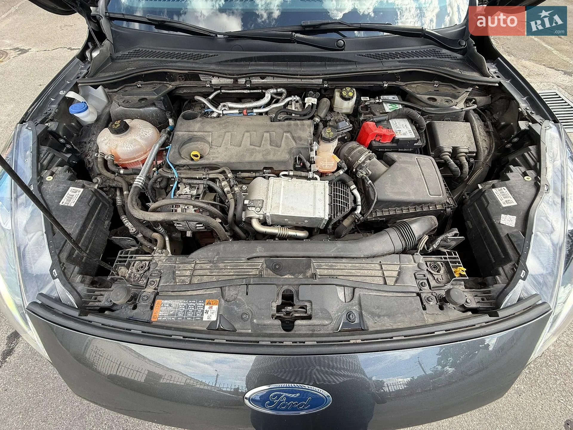 2020 Ford Kuga - мініатюра 13