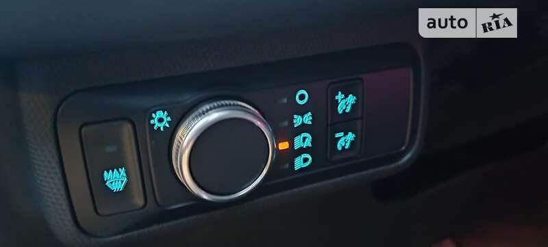 Внедорожник / Кроссовер Ford Mustang Mach-E 2020 в Харькове фото 30 Внедорожник / Кроссовер Ford Mustang Mach-E 2020 в Харькове