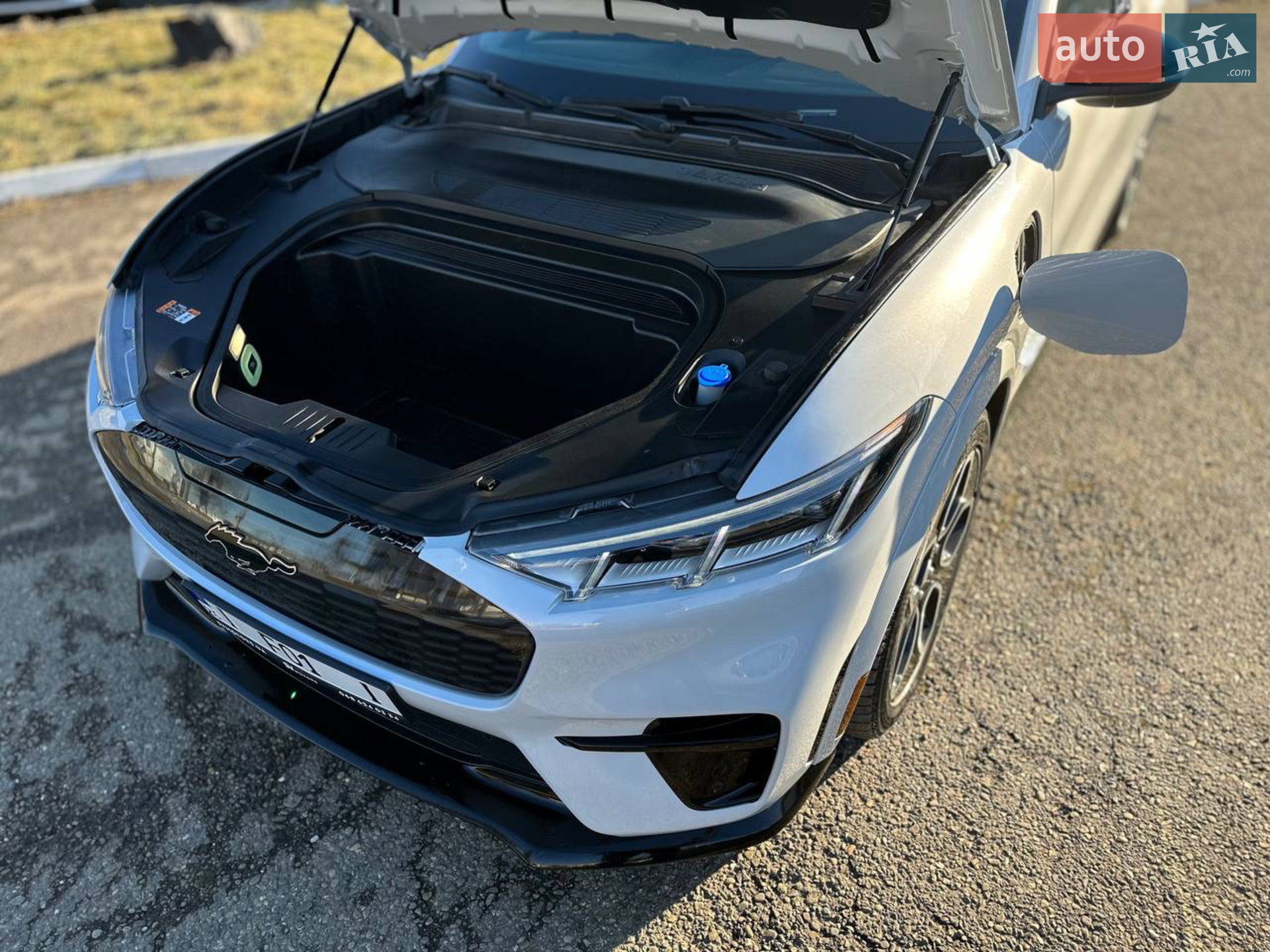 2021 Ford Mustang Mach-E - мініатюра 21