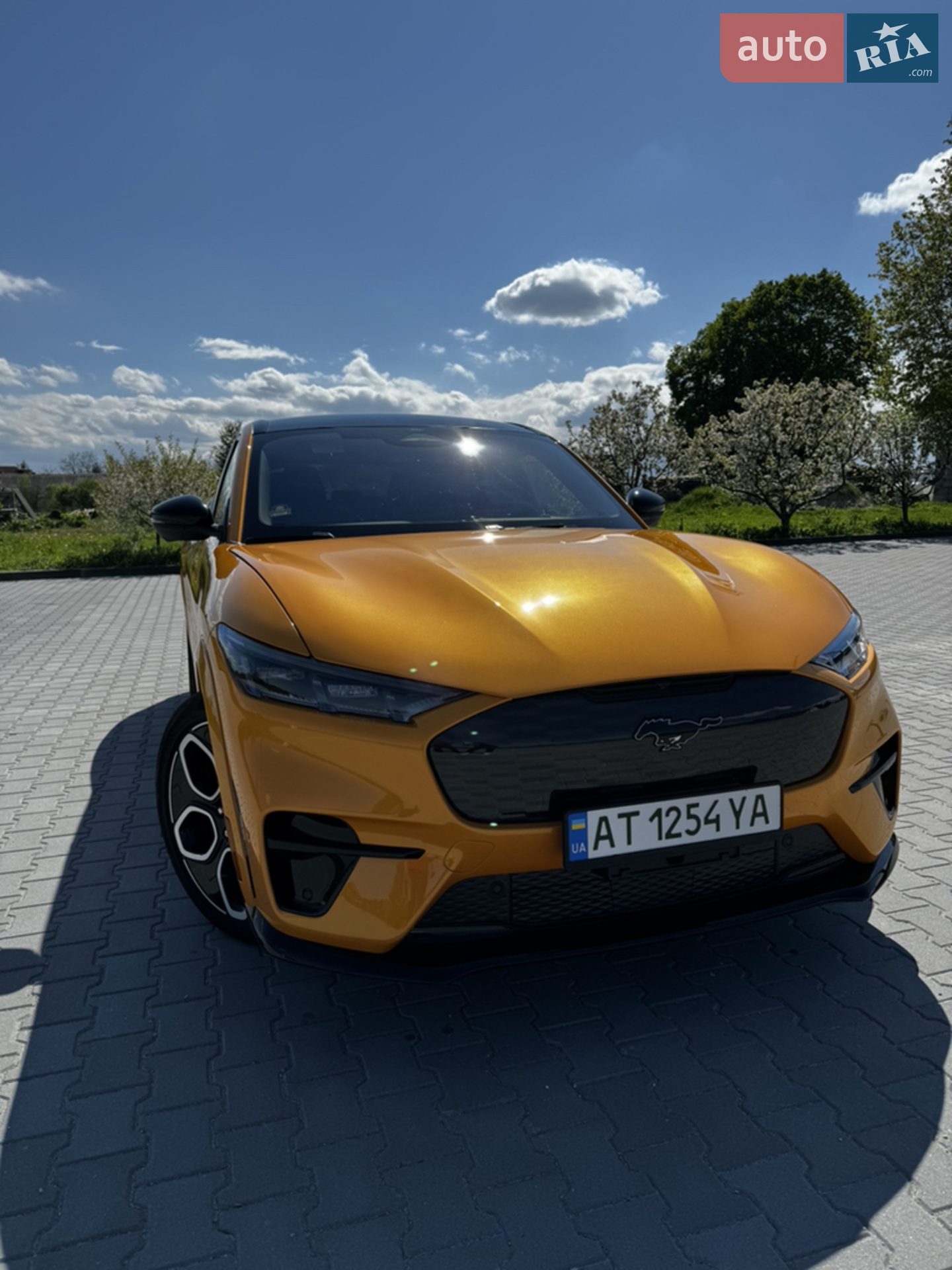 2022 Ford Mustang Mach-E - мініатюра 5