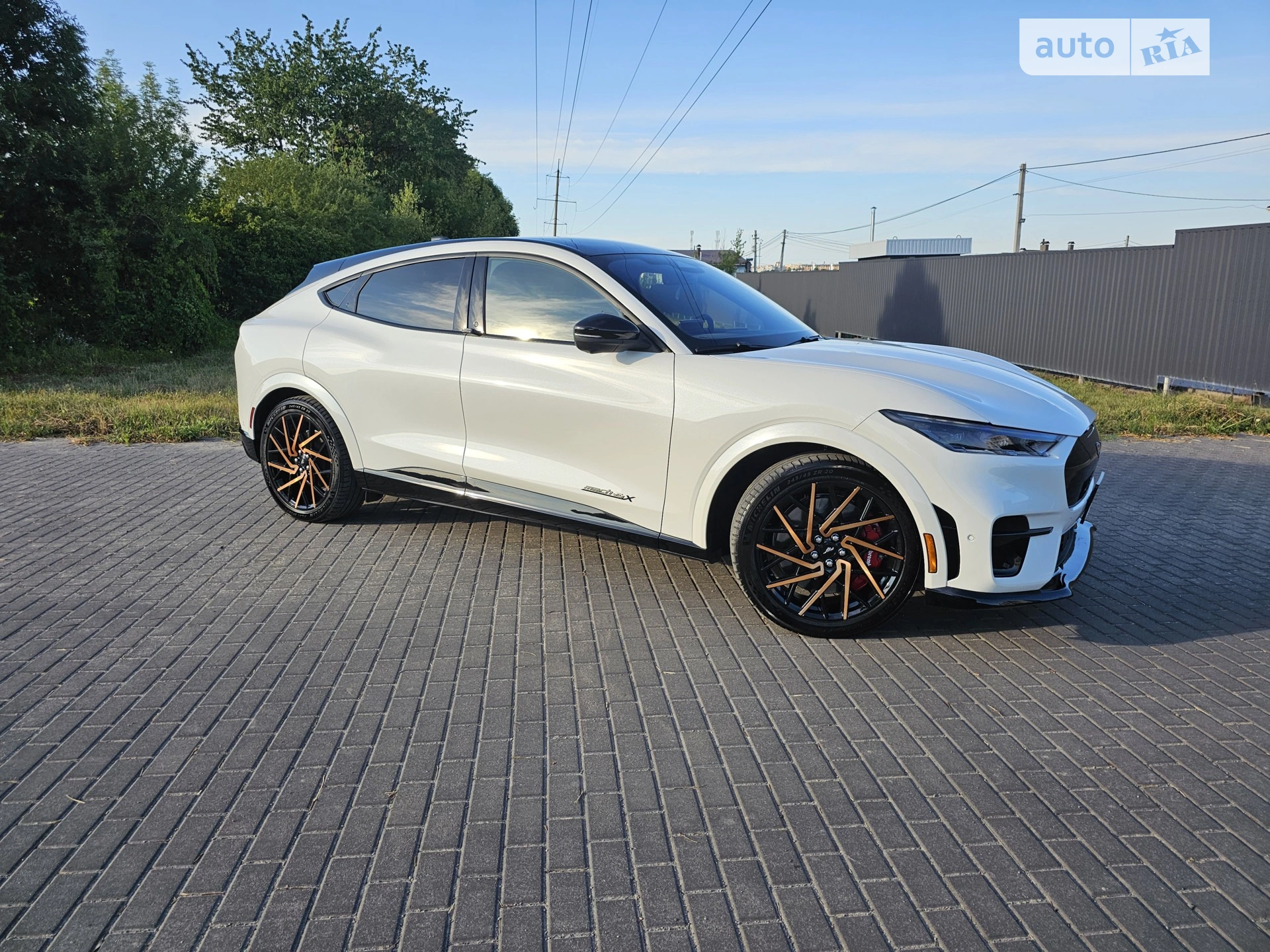 2023 Ford Mustang Mach-E - мініатюра 11
