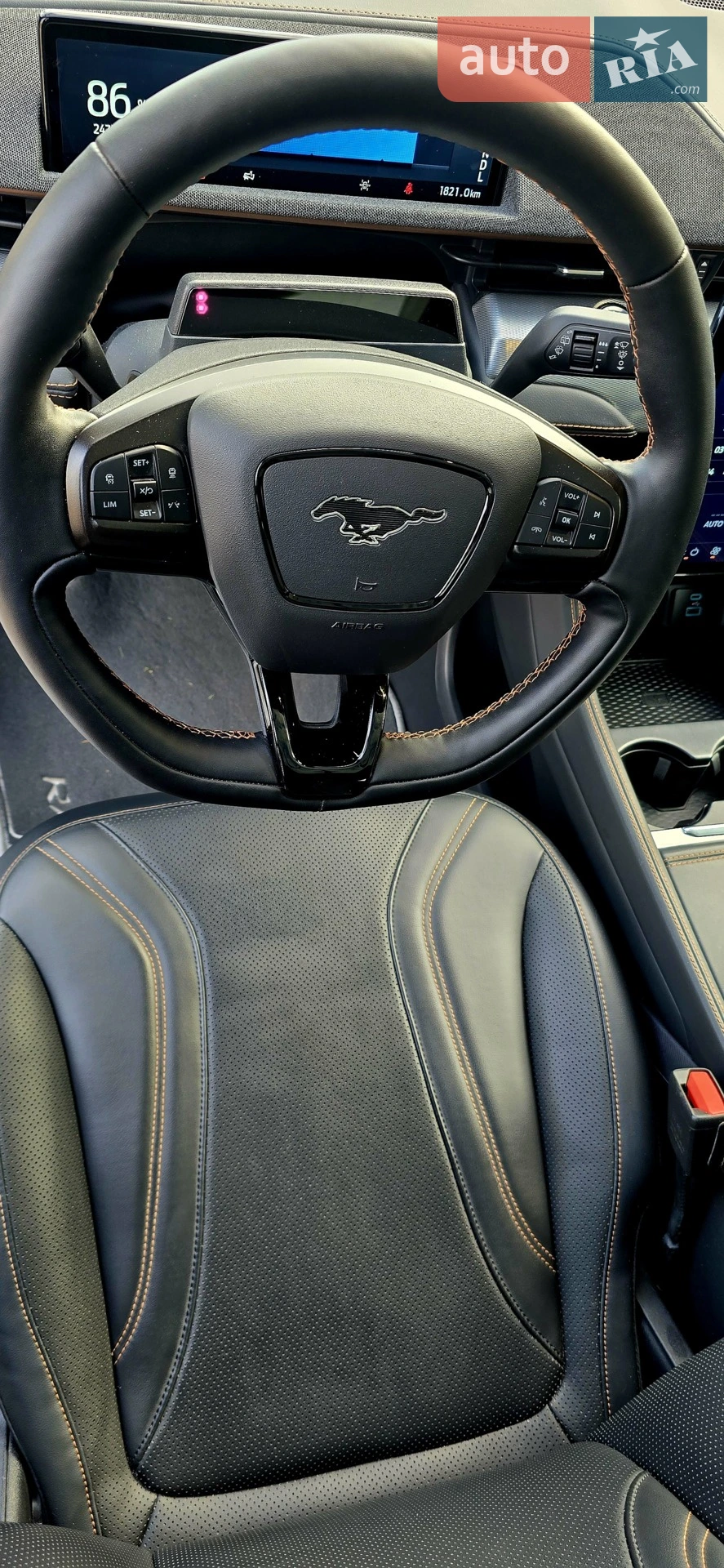 2021 Ford Mustang Mach-E - мініатюра 16